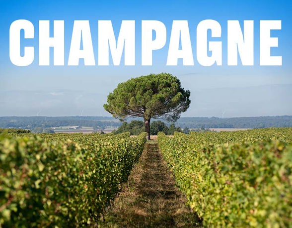 Champagne 735x572px