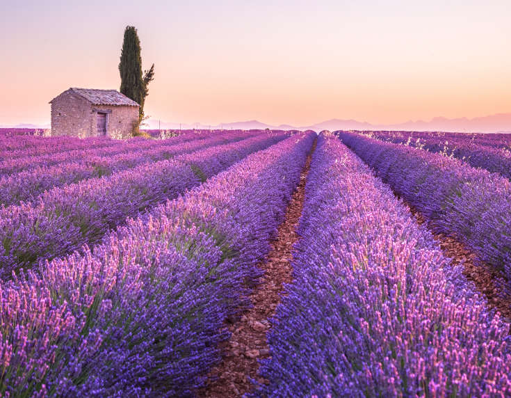 South of France wines