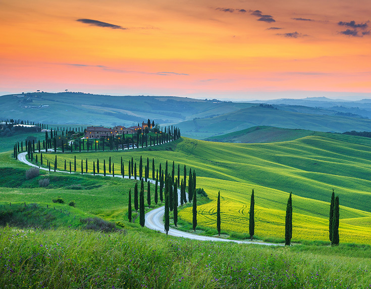 Chianti World Class Wines