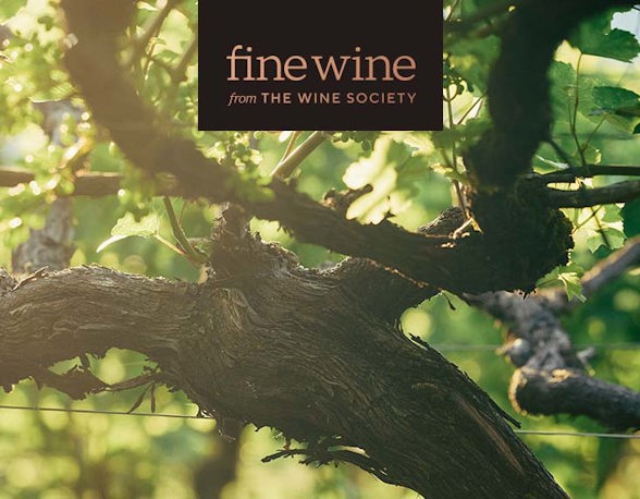 Fine Wine