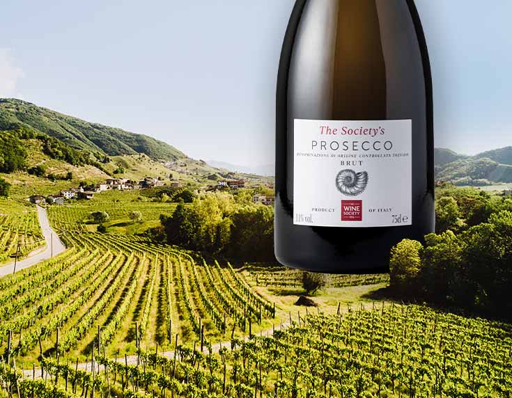 Italian own-label wines