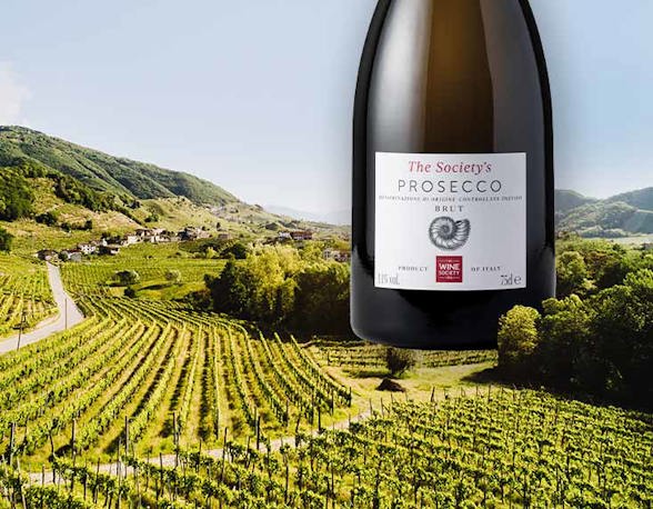 Society wines