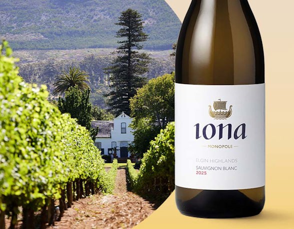 The pick of South Africa