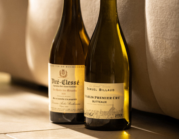 Burgundy mâcon and chablis