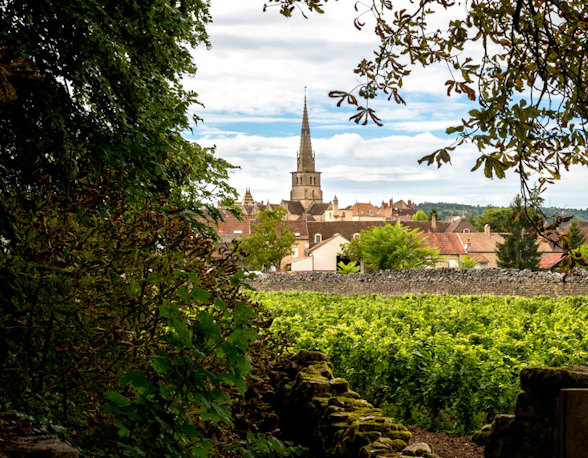 Nina Caplan’s love letter to Burgundy