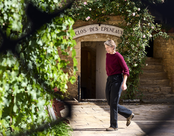 Burgundy: The rise of Pommard