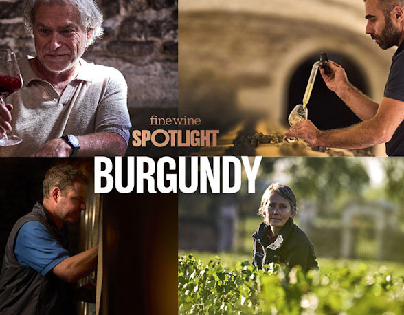 Shining a Spotlight on Burgundy