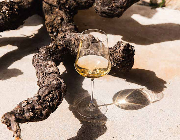 Chenin blanc: South Africa’s calling card