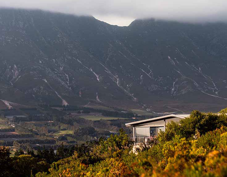 Hemel-en-Aarde: into the fold