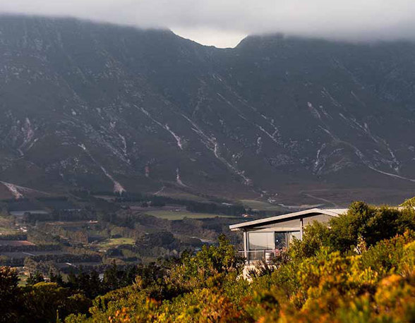 Hemel-en-Aarde: into the fold