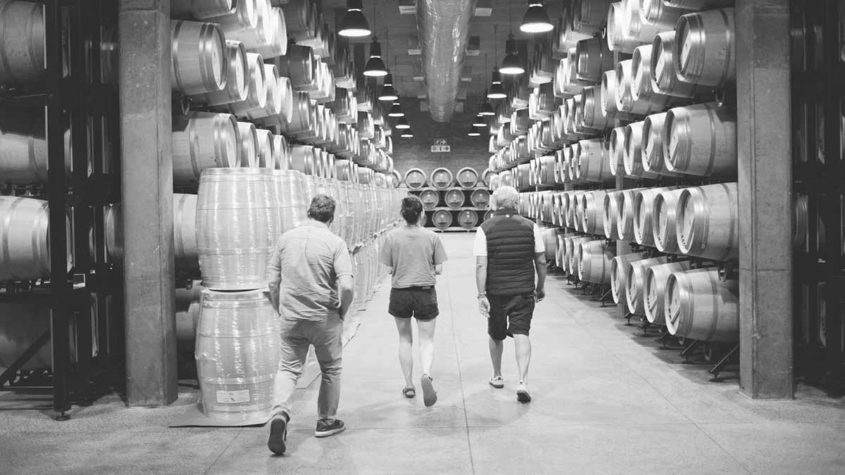 Cellar raiding at Boekenhoutskloof