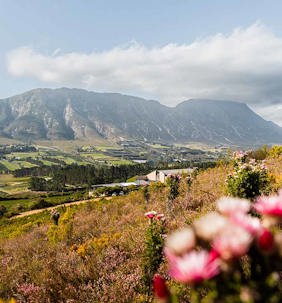 Our most exciting South Africa selection yet!