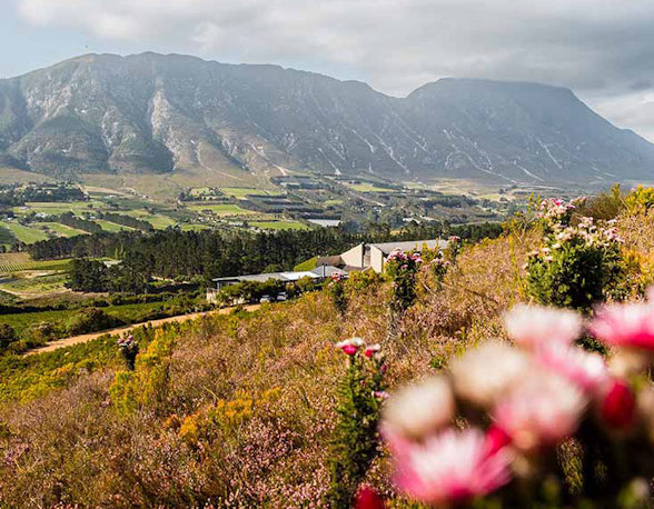 Our most exciting South Africa selection yet!