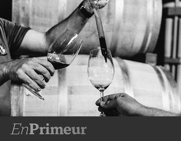 En primeur: Stellenbosch’s great 2025 vintage