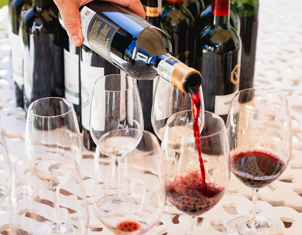 South African red wines