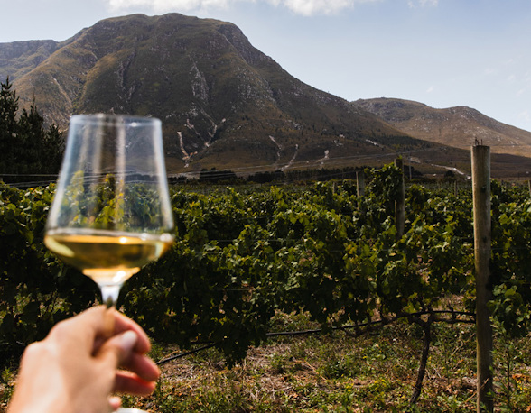Chenin video