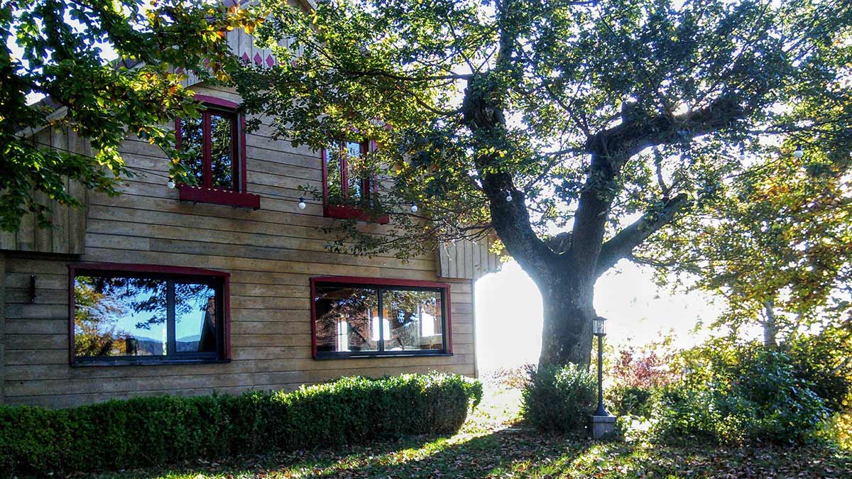 Gingerbread-like house up in the forested Vosges hills