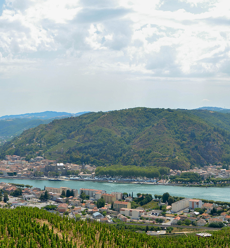 Rhone Innish The 2019 Rhône Vintage: Anatomy Of A Great Year - Part 1