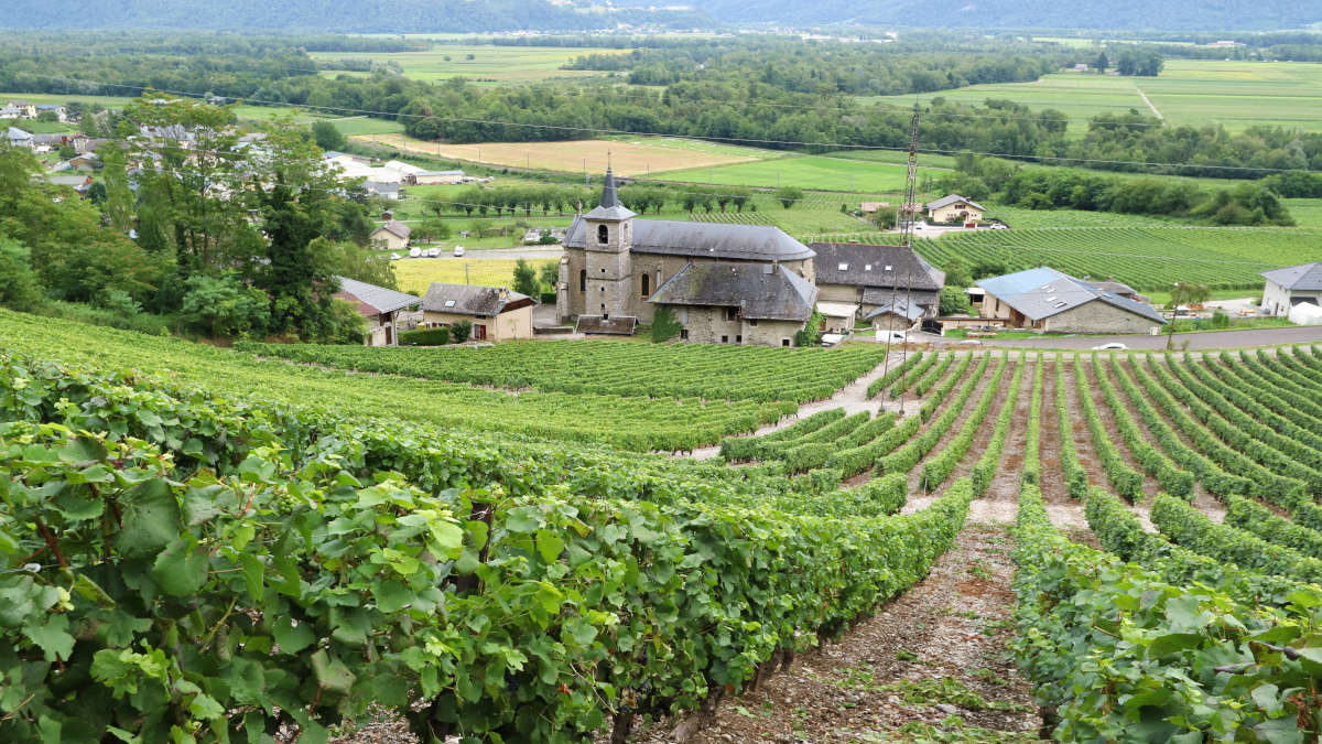 A Cinderella Story: The best 2018s from France's under-the-radar regions