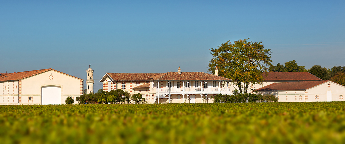 Fifth-growth Château Haut- Batailley where Jean-Charles Cazes has bought some of his neighbour's land