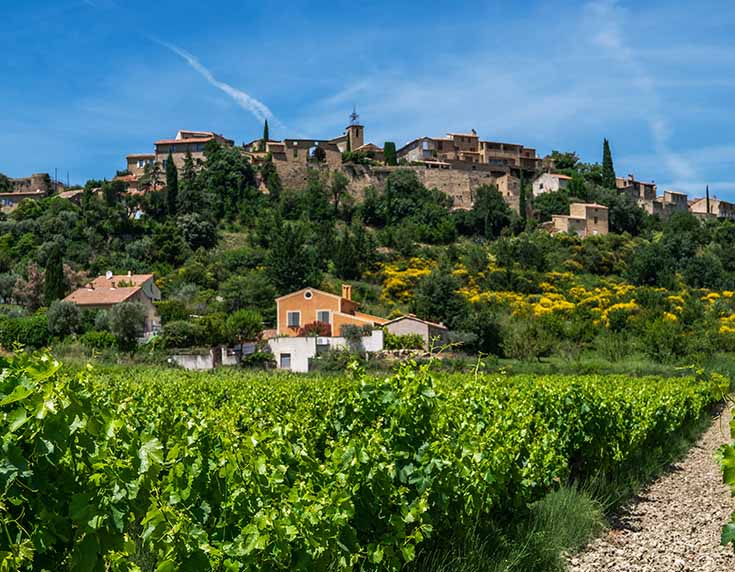 Rhone wines