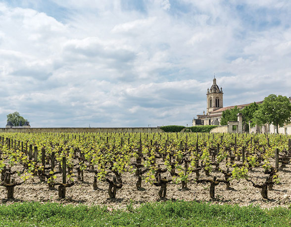 Red wines by sixes: £124 to £170