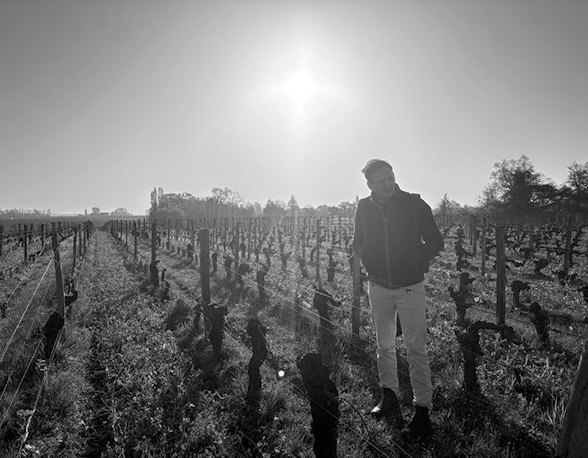 Red wines by sixes: £204 to £294