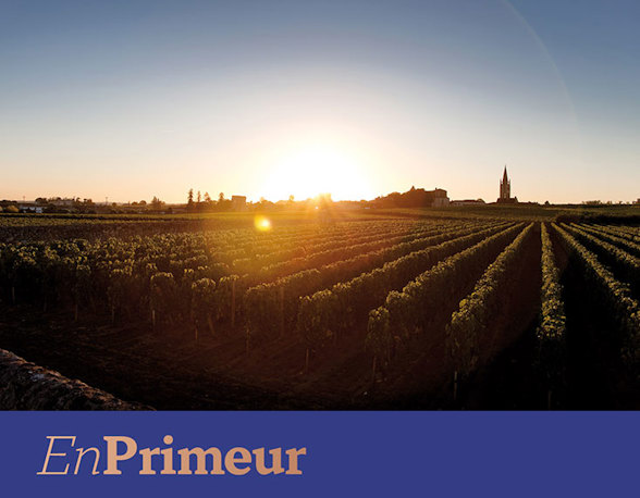 Bordeaux 2025: Still available early releases