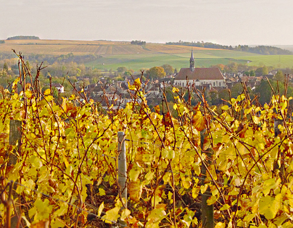 Domaine William Fèvre