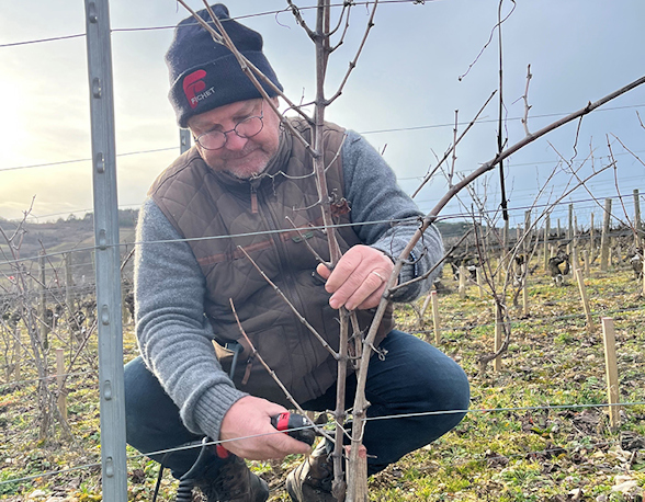 Domaine Fornerot