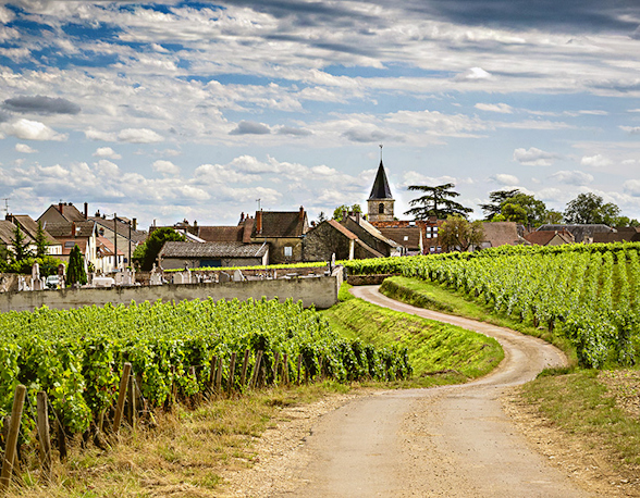 Domaine Jean Grivot