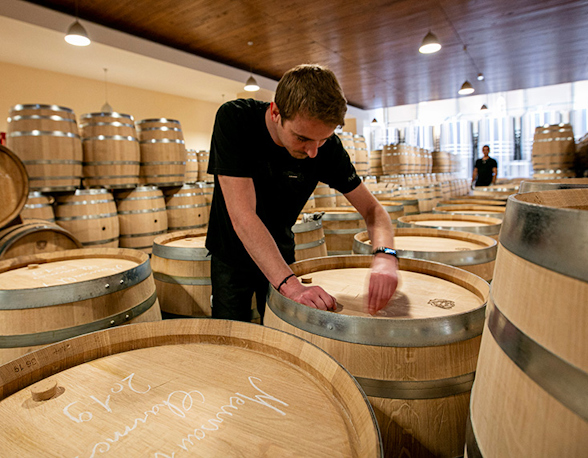 Louis Jadot
