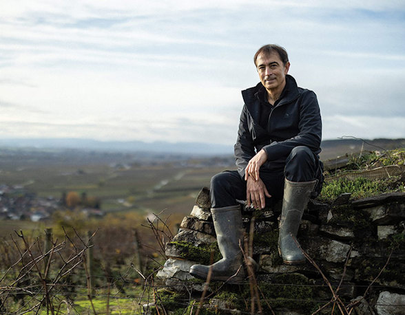 Domaine Launay-Horiot
