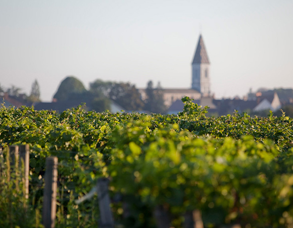 Domaine Lécheneaut