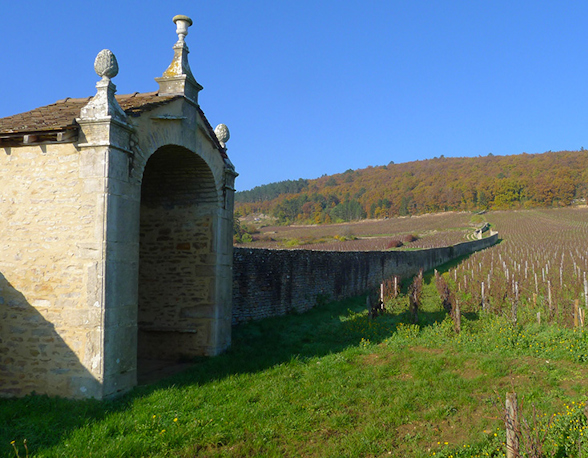 Domaine Alain Burguet