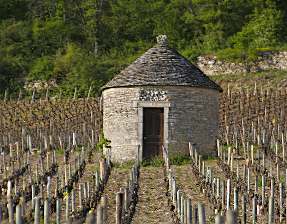 Domaine Jean Chauvenet