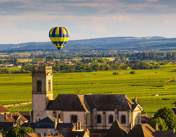 Domaine Rebourgeon-Mure