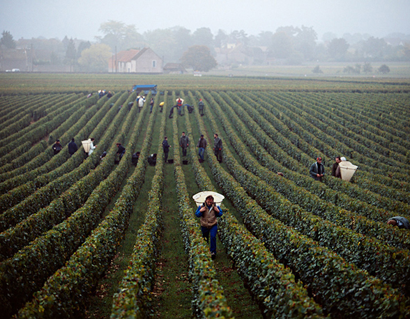 Domaine Leflaive