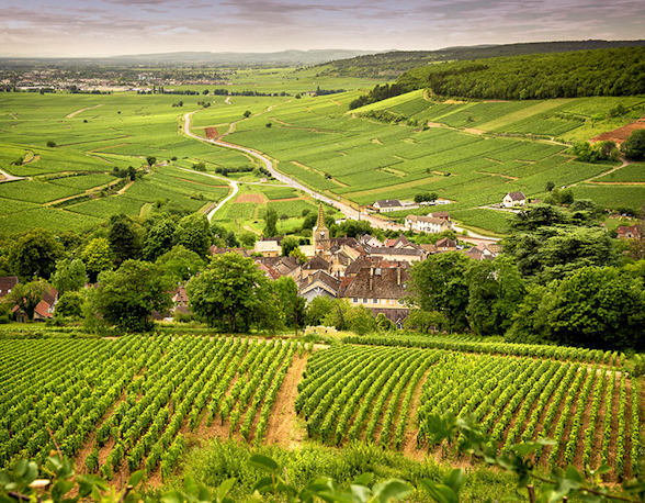 Domaine Desvignes