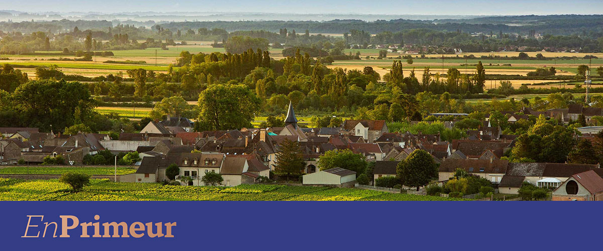 White Burgundy 2025