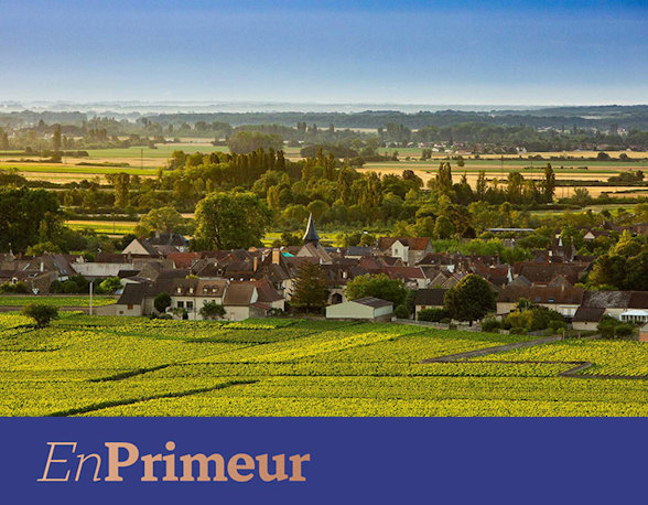 White Burgundy 2025