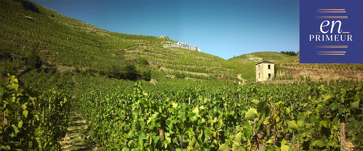 Chapoutier Hermitage 2023