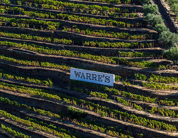 Warre's