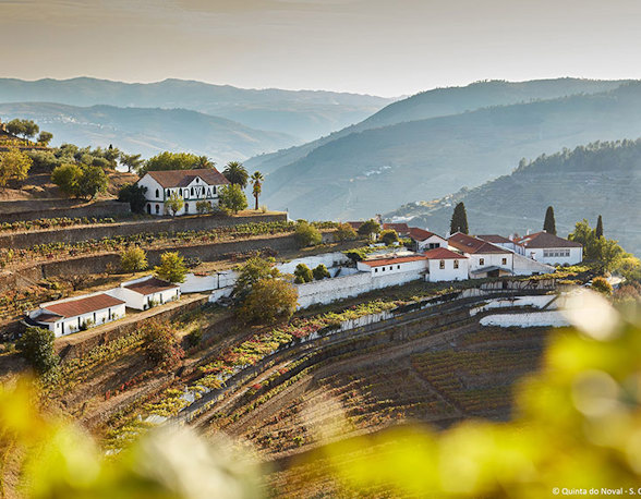 Quinta do Noval
