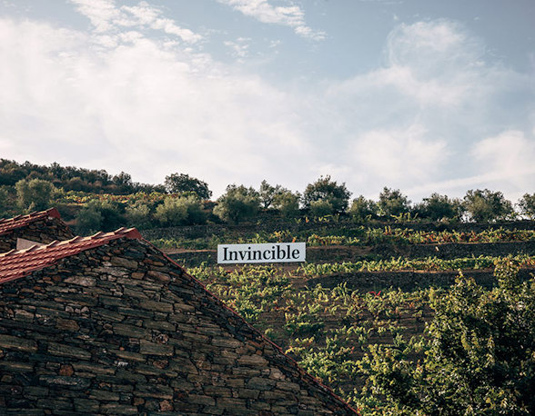 Vinhos Invincible