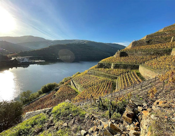 Quinta de la Rosa