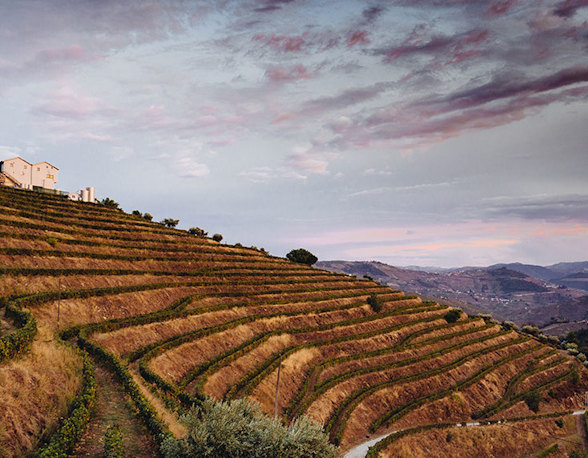 Quinta da Pedra Alta