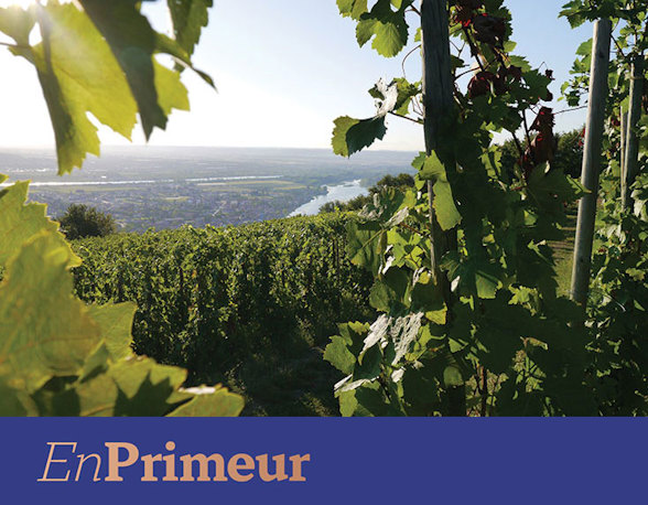 Rhône 2024 whites