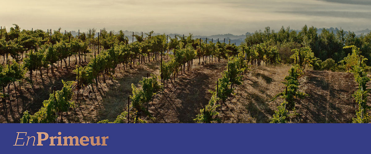 Ridge Monte Bello 2025