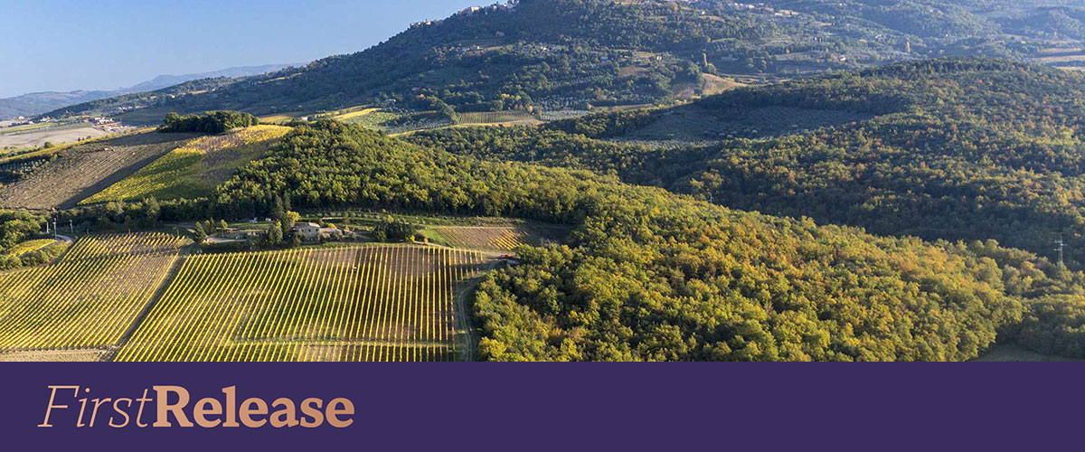 Brunello di Montalcino 2020